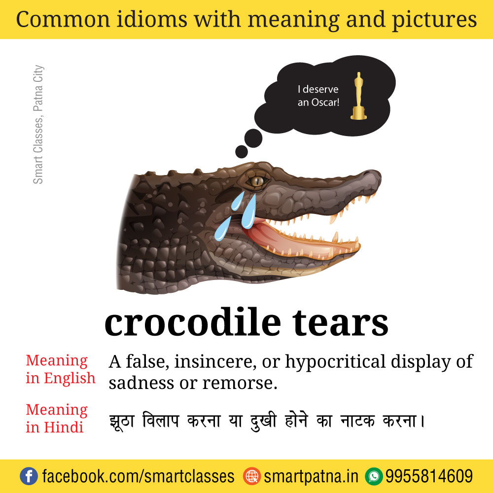 Crocodile Tears Idiom Meaning, Examples, Synonyms
